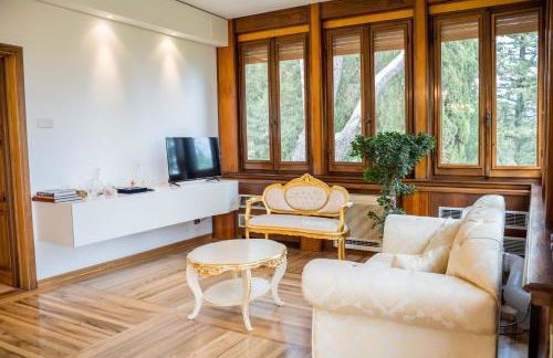 Majestic Villa in Hills of Florence with Gardens Gym Jacuzzi and Sauna - Foto 121