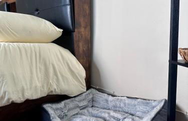 C è posto per te PETFRIENDLY - Foto 39