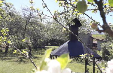 Flor de Pomar - Foto 44