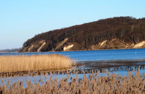 Gut-Rattelvitz-Parterre-A-hochwertig-Sauna-Kamin-eTankstelle-Spielscheune-15-000qm-Parkland - Foto 64