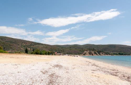 Bill & Eva's precious jewel - Photo 20