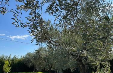 Casa Adriano-Dimora per vacanze - Foto 48