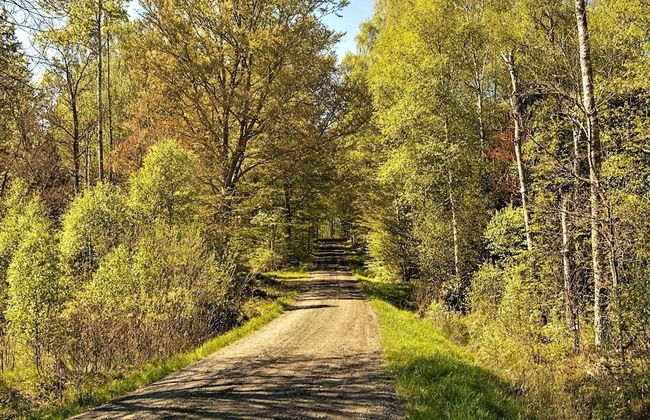 1 Person Holiday Home in Bromolla-by Traum - Foto 19