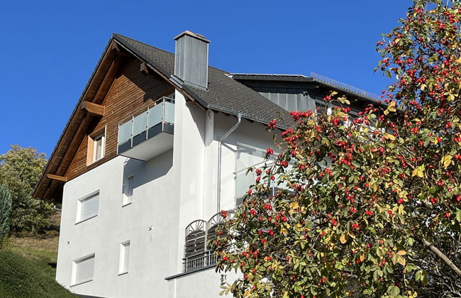 Schwarzwaldblick III - Foto 23