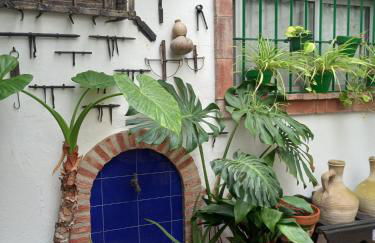 Casa Museo Jerez Centro - Foto 70