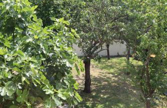 Le domaine des figuiers - Gîte des pèlerins - Foto 20