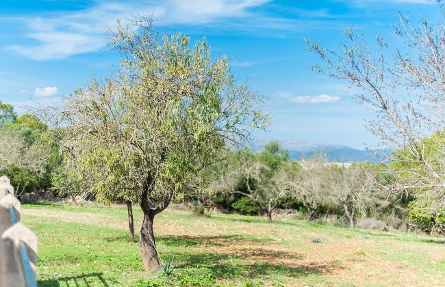 Son Rossinyol in Llub - Foto 6