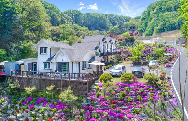 Sky Wind and Star SPA Pension - Foto 54