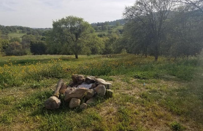 St Anna's House - Foto 56