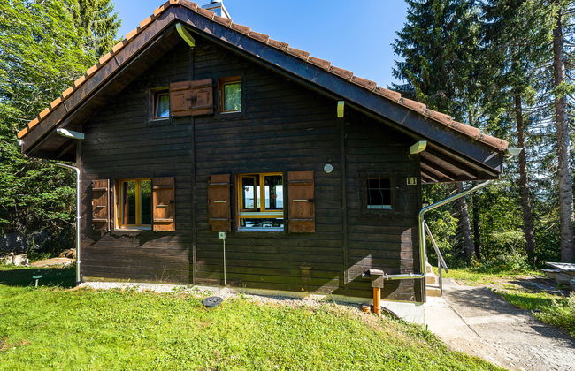 Chalet de la Vue des Alpes - Foto 23