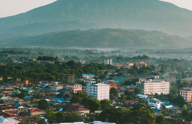 Kibo Palace Apartments - Photo 50