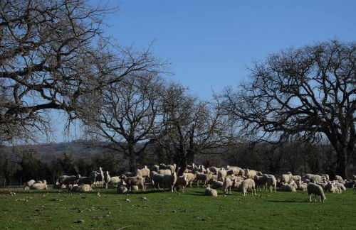 Agriturismo Bio Aia della Colonna - Foto 98