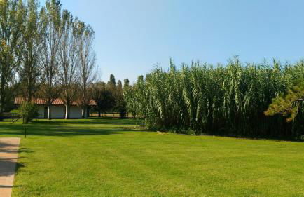 Dune Agriturismo - Foto 74