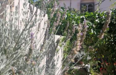 "Eirini" traditional house Creta Archanes, Αρχάνες σπίτι - Photo 2