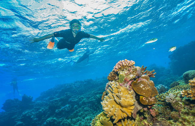 Excursión a la Gran Barrera de Coral y plataforma Reef Magic - Foto 9