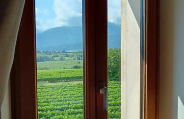 Agriturismo Villa di Modolo - Cortile della Latteria - Foto 41