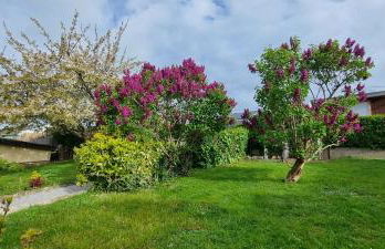 Georgette-sur-Mer - Foto 23