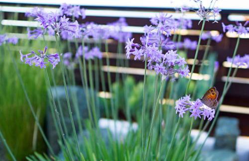 Villa Acacia - Foto 88