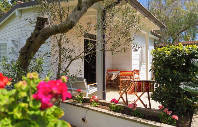 AGRITURISMO SCALELLE - Foto 43