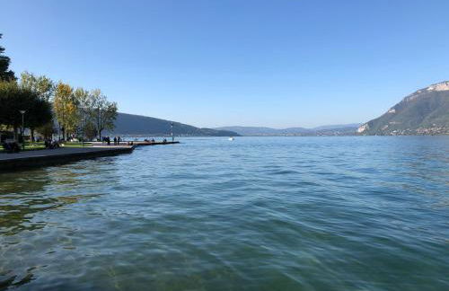 Superbe appartement au centre de St Jorioz - Photo 9