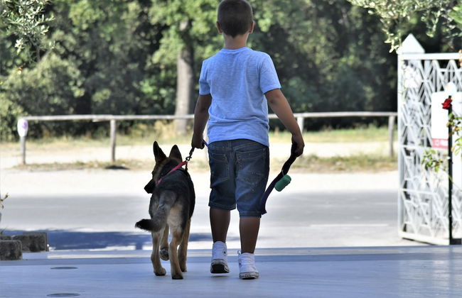 Residence Santa Costanza - Foto 24