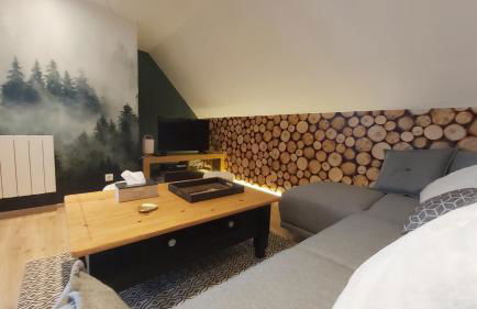 La forêt des Marmottes - Photo 2