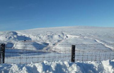 Hedgehog's Hideaway,a peaceful retreat in Nenthead - Foto 16