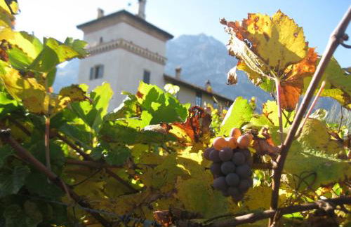 Residence La Colombera - Foto 62