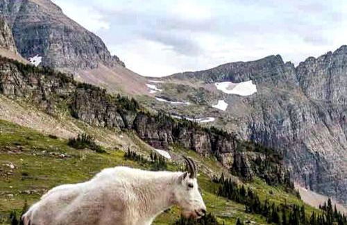 Secluded Cabin in Polebridge, Montana, with Fantastic Views of Glacier National Park - Dream Glamping Experience - Photo 23