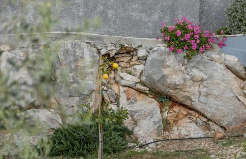 House Tea in a beautiful nature - Foto 48