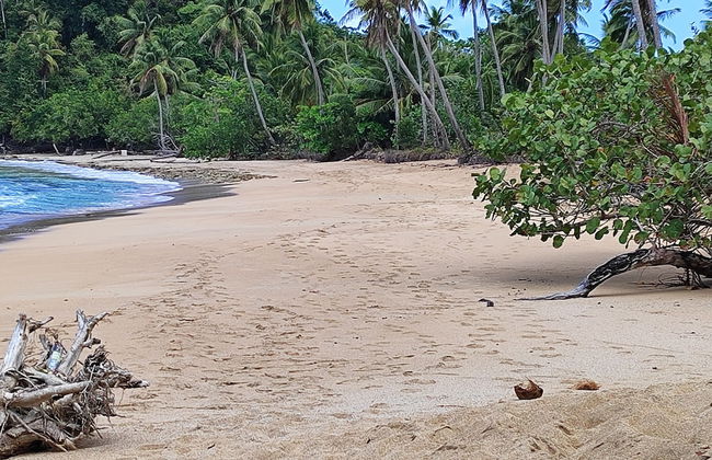 Casita Alegria - Foto 55