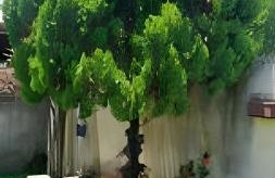 Casa de Temporada Guriri com Piscina - Cod 17 - Foto 36