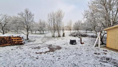 Haus Martha - Foto 2