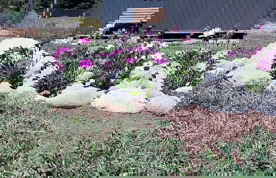 Cabañas ecológicas - Foto 46