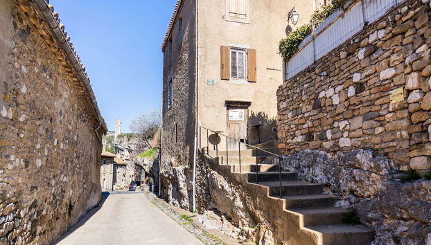 Vineyards & Village Stay - Foto 2, Recepción