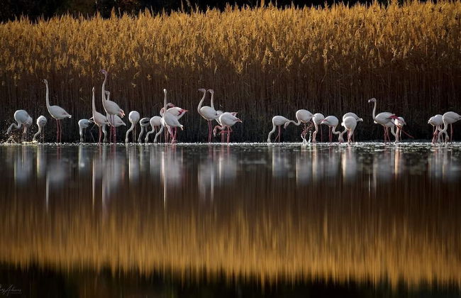 Magical View Studios 2 Asproneri, Kamena Vourla - Foto 34