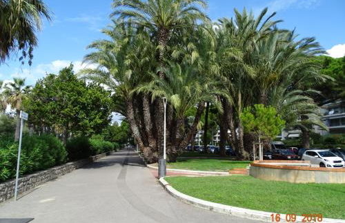 Palm beach Cannes Azur - Foto 30