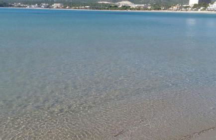 Apartamento primera línea de mar - Foto 44