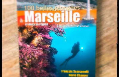 Le Patio - n°13206010120SB - Foto 55