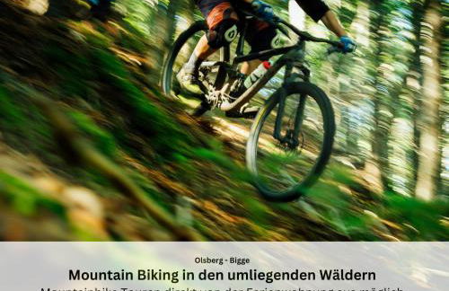 Ferienwohnungen Sauerland und Olsberg - Foto 42