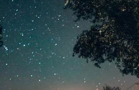 Monte do Pomar - Foto 27