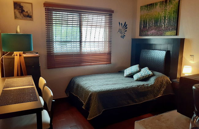 Le Colibri Récif Studio - Foto 4