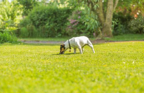 2 Bed in Launceston oc-d31000 - Foto 22