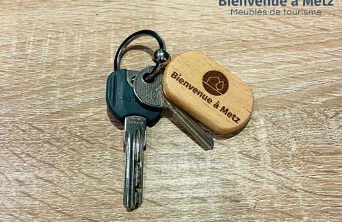 Le haut de Vallières appartement 3 pièces NETFLIX - Foto 6