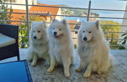 HOLIDAY HOME KATE - Foto 36