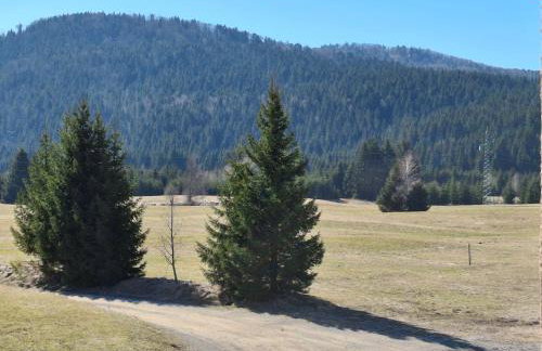 Apartman OBLAK Ravna gora - Foto 12