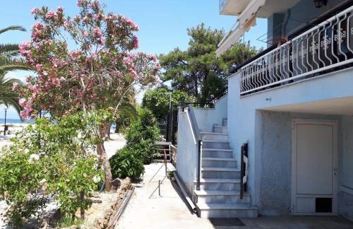 POPI 'S HOME - Foto 47