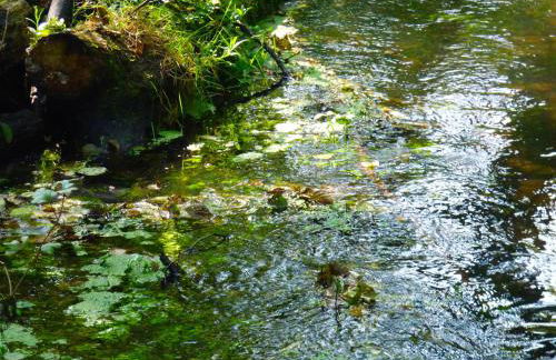 Fewo-Mundi - Foto 39