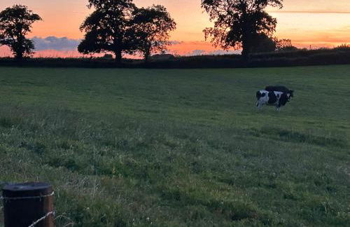 Cosy Owls Roost Hut With Private Hot Tub - Foto 89