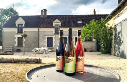 Villa coco 9 personnes jardin proche Beauval - Foto 19